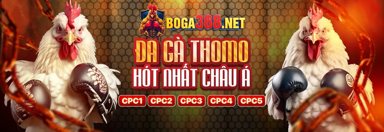 Sân vận động với trận đấu bóng đá sôi động, thể hiện cá cược thể thao tại 55vin code