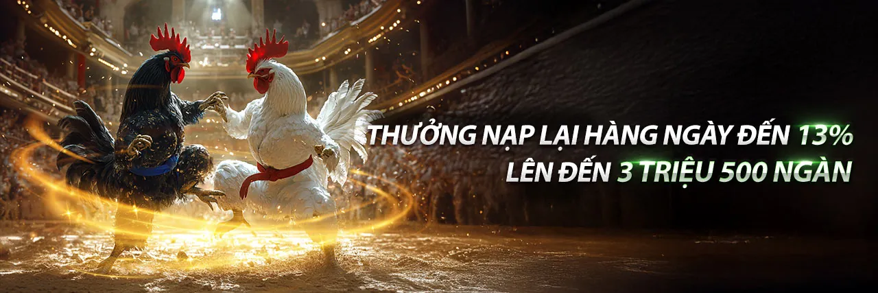 Đá Gà Trực Tuyến Hấp Dẫn tại 55vin code