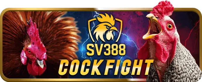 Tiền thưởng chào mừng 55vin code